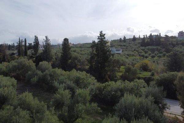 Kreta, Kalyves: Grundstück in Strandnähe mit herrlichem Meerblick zu verkaufen