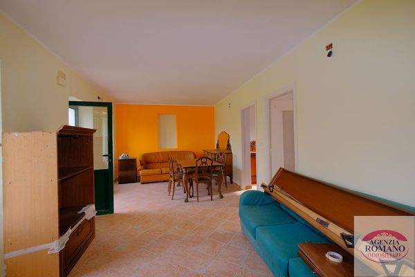 rif 1504(Copy37).jpg