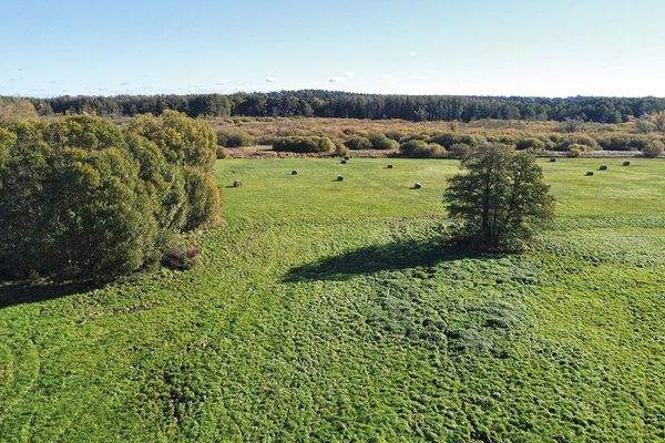 Luftaufnahme frontal