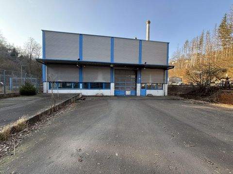 Lüdenscheid Halle, Lüdenscheid Hallenfläche