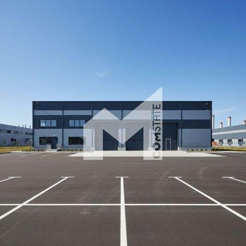 Troisdorf Halle, Troisdorf Hallenfläche