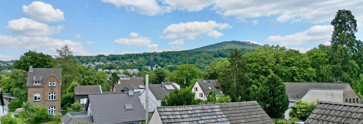 Ausblick Dachterrasse / Petersberg