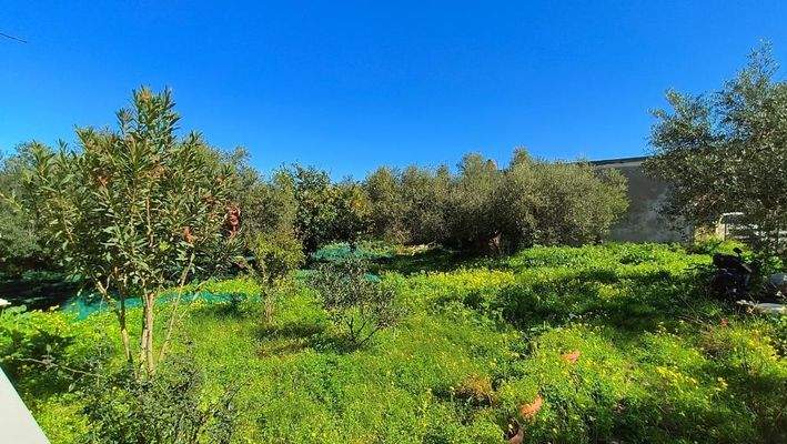 Kreta, Drapanias: Neubauhaus inmitten von Olivenhainen in Strandnähe zu verkaufen