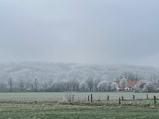 Blick vom Haus