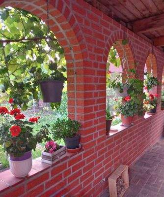 Überdachte Terrasse im Sommer