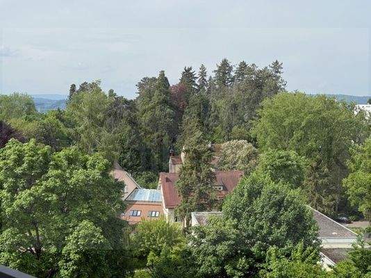 Blick auf Schloß Burgberg