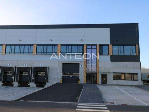 Mönchengladbach Halle, Mönchengladbach Hallenfläche