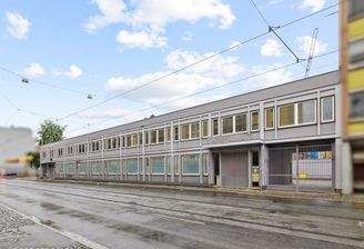 558601-A-backbonephoto-007_b_001