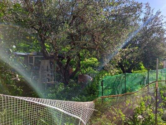 Kreta - Plaka: Wohnung mit Berg- und Meerblick zu verkaufen