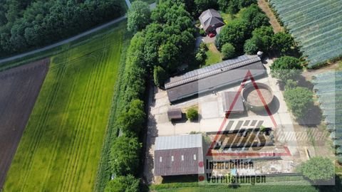Glandorf Bauernhöfe, Landwirtschaft, Glandorf Forstwirtschaft