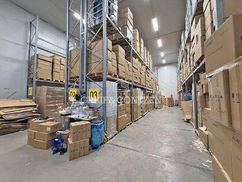 Hürth Halle, Hürth Hallenfläche