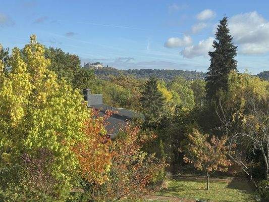 Vesteblick vom Wohnzi. EG