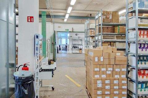 Berlin Halle, Berlin Hallenfläche