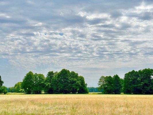 Aussicht vom Grundstück