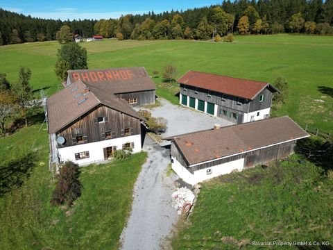 Sankt Englmar Renditeobjekte, Mehrfamilienhäuser, Geschäftshäuser, Kapitalanlage