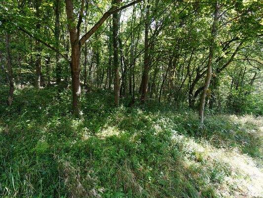 Verkaufsfläche und Umgebung