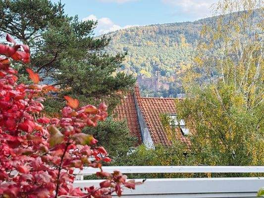 Dachterrasse Schlossblick