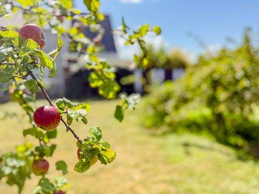 Raum für eigene Ideen