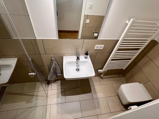 Gäste Wc mit Dusche
