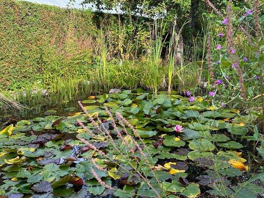 25 teich-doppelhaushaelfte-hilkerode-rkm-immobilienkontor.jpg