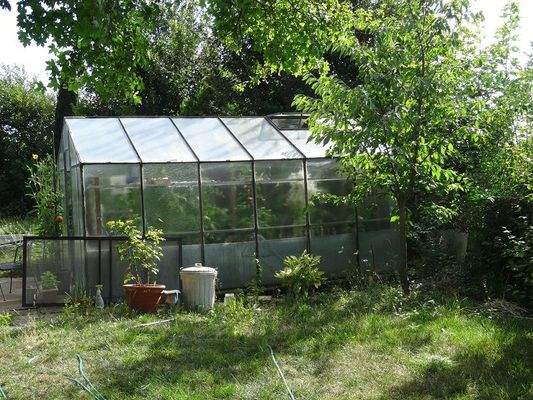 Gewächshaus.JPG