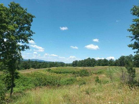 WhatsApp Image 2025-07-01 at 08.24.38 (1)