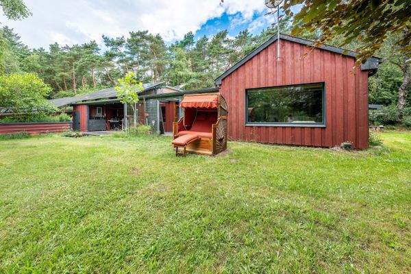 Gudendorf-Charmantes-Häuschen-im-Wald-39