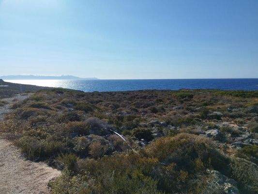 Kreta, Stavros: Küstengrundstücke mit Baugenehmigung und Meerblick zu verkaufen