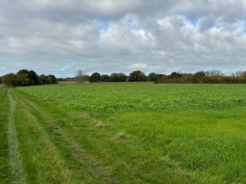 Greven Bauernhöfe, Landwirtschaft, Greven Forstwirtschaft