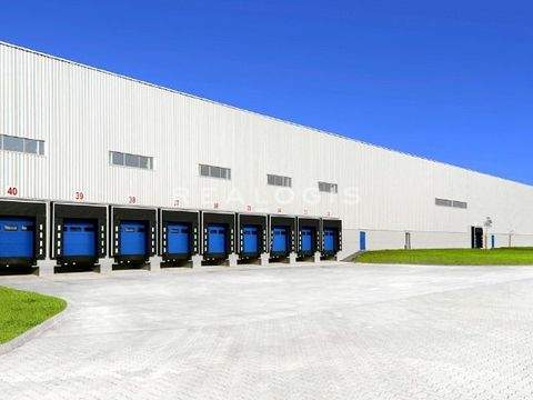 Reichertshofen Halle, Reichertshofen Hallenfläche