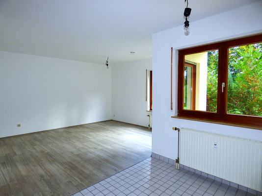 Wohnzimmer / Offene Küche