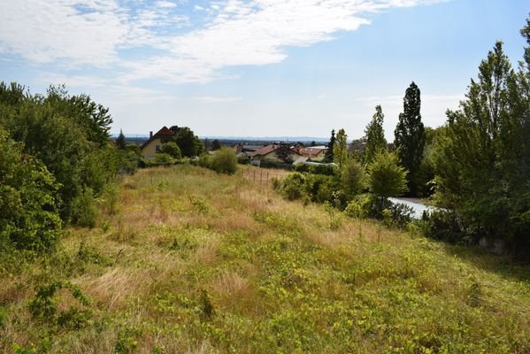 Grundstück Sooß, Schönweg 8, Blick Süd/Ost, Lehner & Trompeter Bauträger