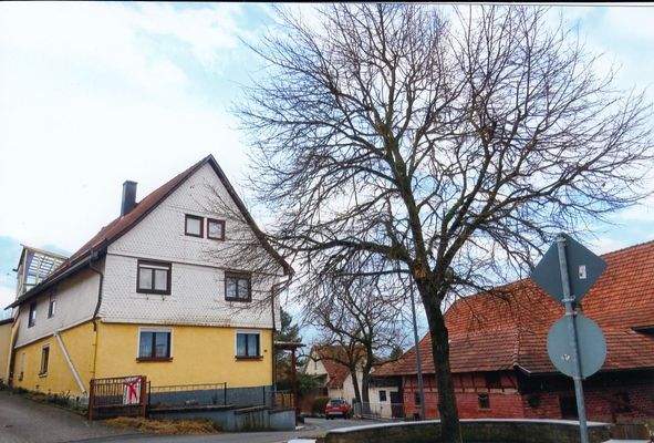 Hausansicht mit Dorflinde