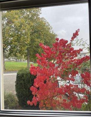 Blick nach draußen.jpg