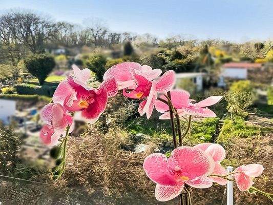 wunderschöne Aussicht