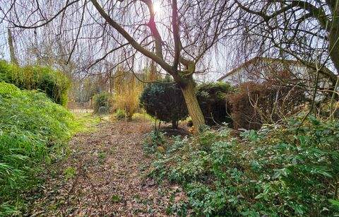 Dessau-Roßlau Häuser, Dessau-Roßlau Haus kaufen