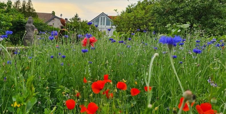 Ansicht Garten.jpg