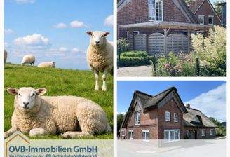 Collage_Titelbild