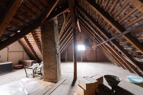 Groß (40 - DSC02838-Verbessert-RR).jpeg