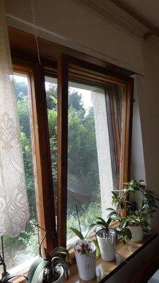 Wohnzimmer - Detail alte Fenster