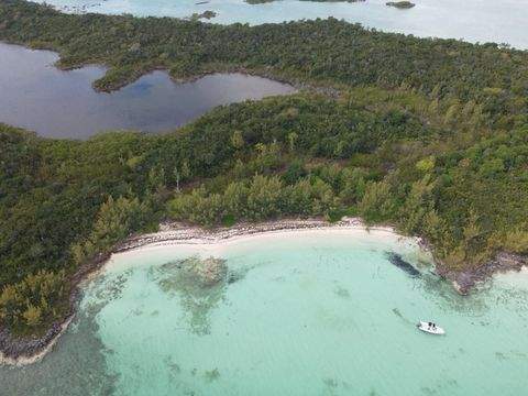 Central Abaco Bauernhöfe, Landwirtschaft, Central Abaco Forstwirtschaft