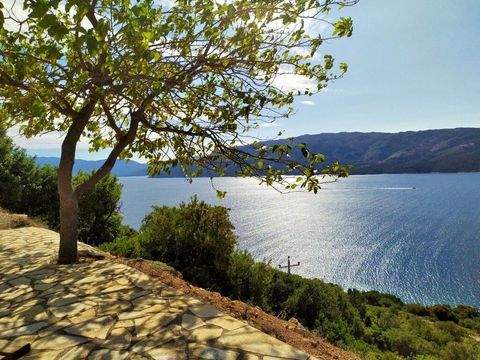 Ionische Inseln Bauernhöfe, Landwirtschaft, Ionische Inseln Forstwirtschaft