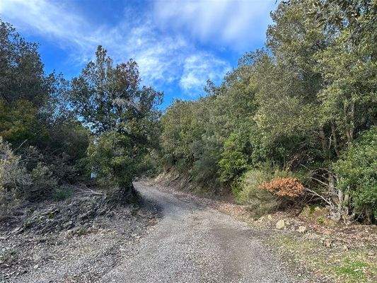 Strasse zum Grundstück