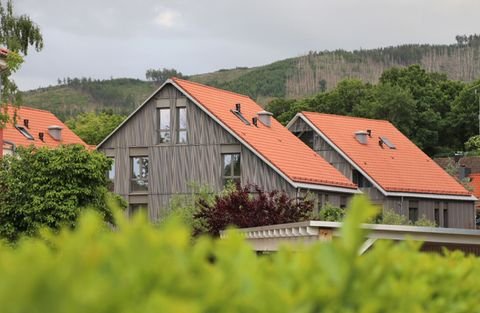 Ilsenburg (Harz) Wohnungen, Ilsenburg (Harz) Wohnung mieten