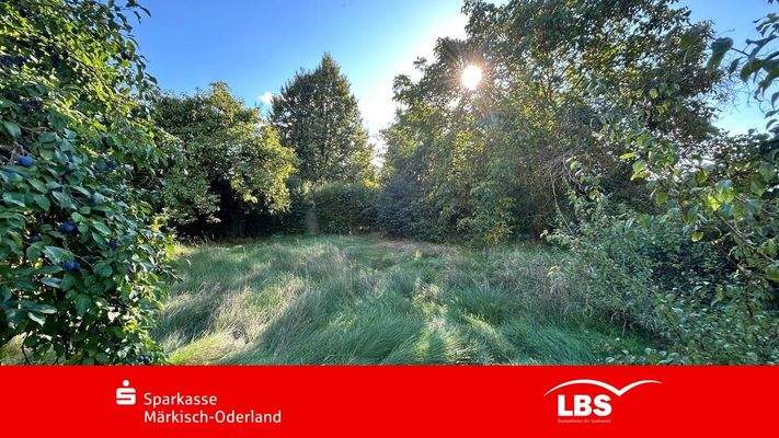 Hintere Grundstückshälfte