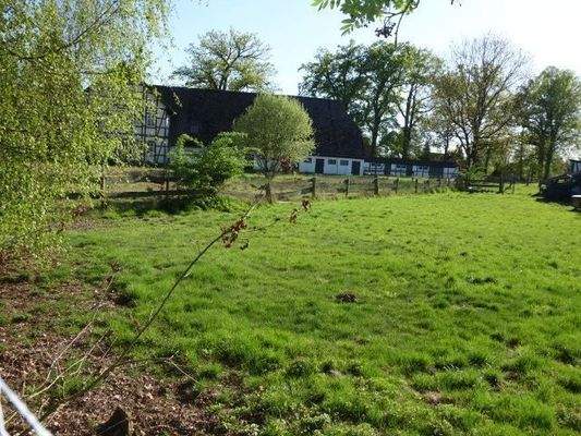 Grundstück, Pferdekoppel