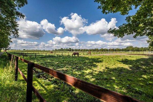 Mit den Pferden frühstücken