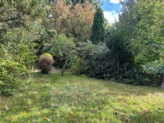 Grundstück Ansicht 2