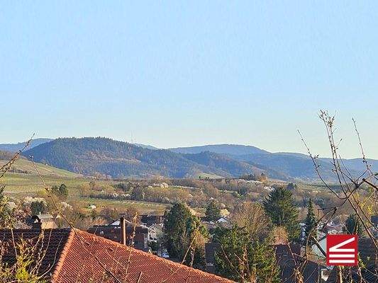 Blick vom oberen Grundstück - Gartenlaube
