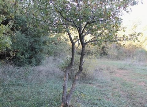 Bar-Vidikovac Grundstücke, Bar-Vidikovac Grundstück kaufen